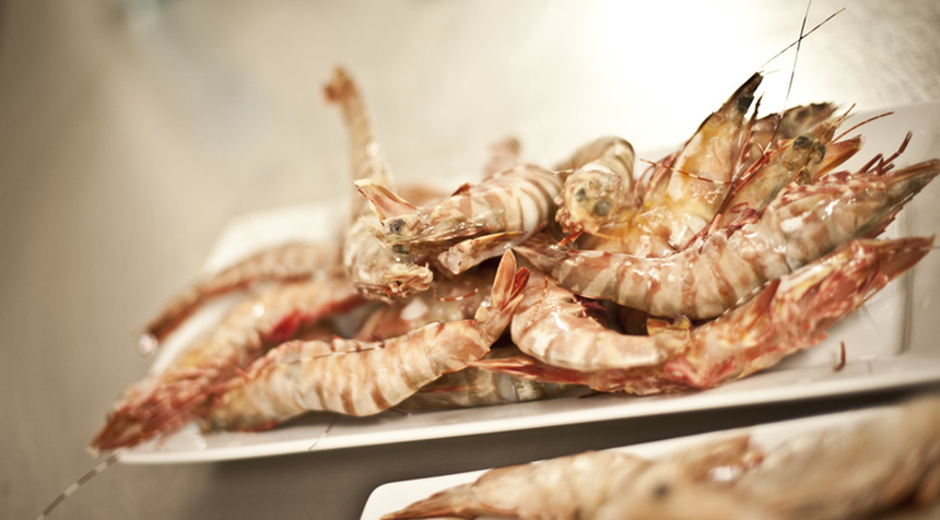 View Australia Northern prawn - MSC Fisheries