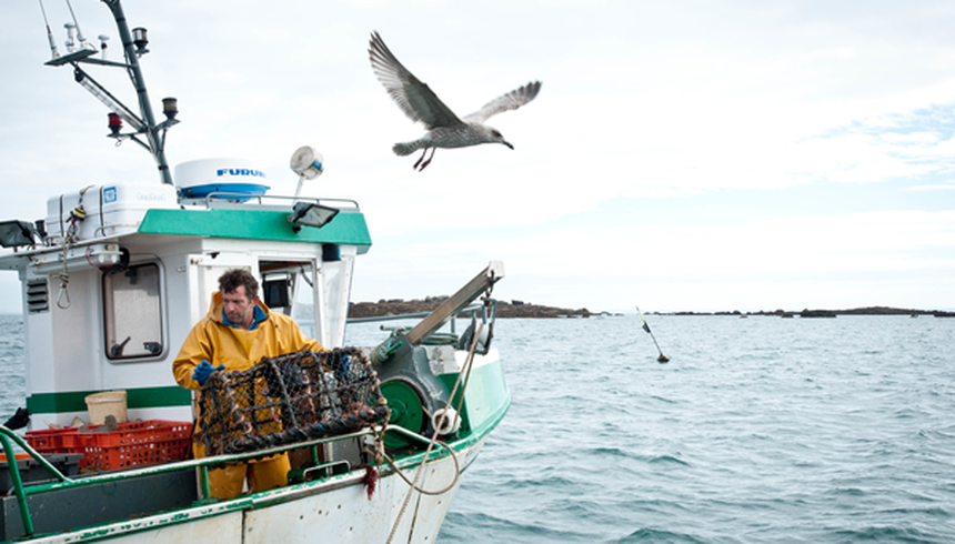 Af en toe luchthaven Poort Normandy and Jersey lobster - MSC Fisheries