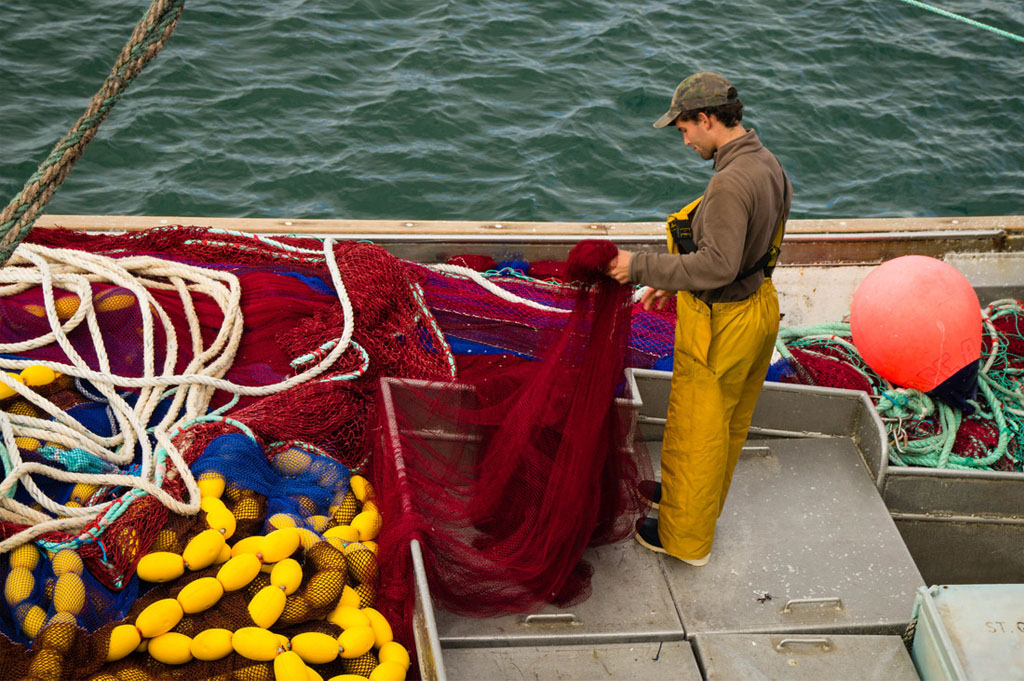 Purse seine  Marine Stewardship Council